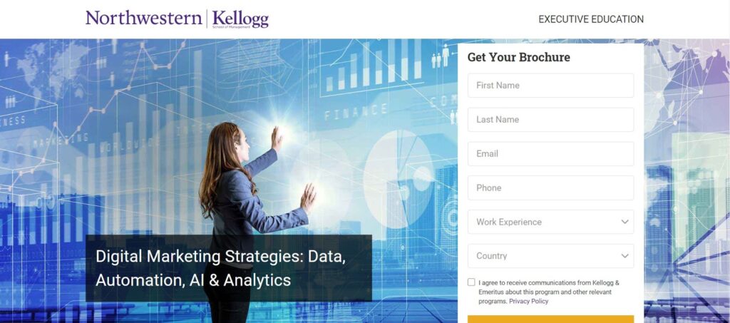 digital marketing strategies course from kellogg